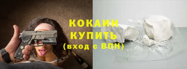 спиды Богородицк