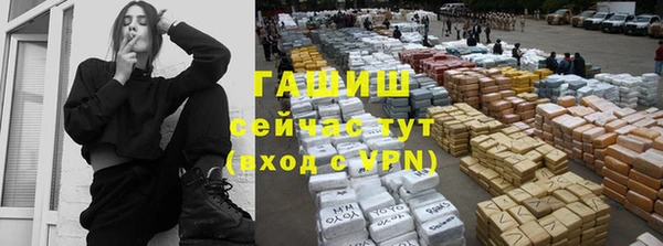 мдпв Богородск