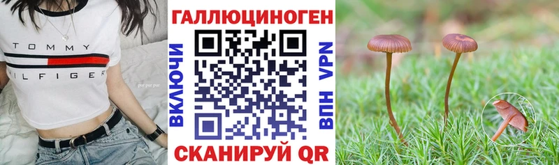 Псилоцибиновые грибы Psilocybe  закладки  Красновишерск 